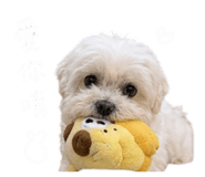 843769524