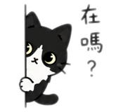 843769937