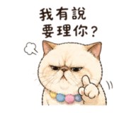 843770137