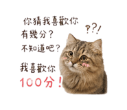 843770374