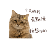 843770375