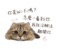 843770376