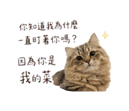 843770380