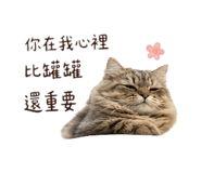 843770381