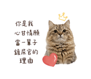 843770383