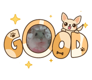 843770577