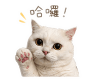843770737