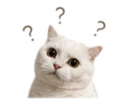 843770741