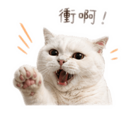 843770746