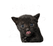 843770861
