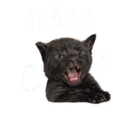 843770865
