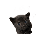 843770867