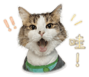 843771051