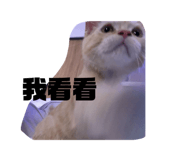 843771344