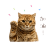 843771607