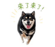 843771781