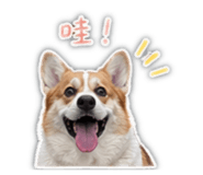 843772017