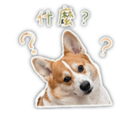 843772020