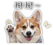 843772024