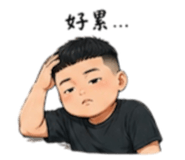 843772153