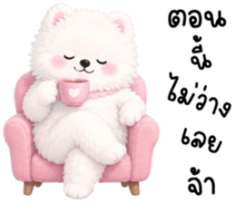 ป๊อปปี้ หมาน้อยน่ารัก 100% รูปที่ 8