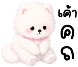 ป๊อปปี้ หมาน้อยน่ารัก 100% รูปที่ 24