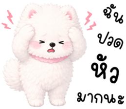 ป๊อปปี้ หมาน้อยน่ารัก 100% รูปที่ 31