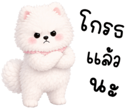 ป๊อปปี้ หมาน้อยน่ารัก 100% รูปที่ 34