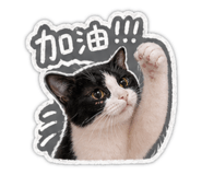 843773311