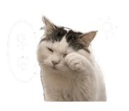 843773385
