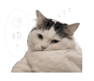 843773389