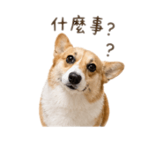 843773726