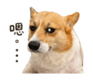 843773739