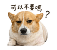 843773742