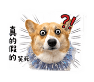 843773750