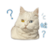 843774824