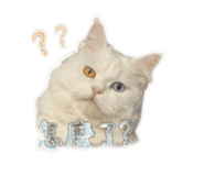 843774825