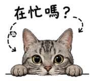 843775076