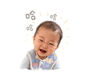 843775100