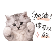 843775312