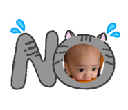 843776162