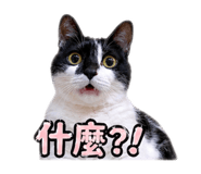 843776313