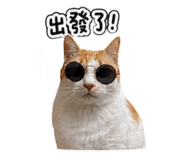 843776677
