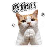 843776681