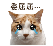 843776702