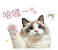 843777178