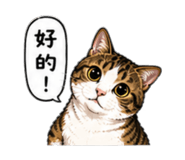 843777299