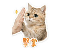 843777426