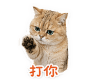 843777432