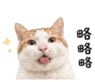 843777482